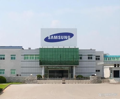 廣東東莞已倒閉的十個(gè)大廠回顧